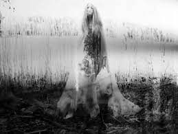 We did not find results for: A Rendition Of The Famous Lady Of White Rock Lake Dallas Tx Lake Dallas Horses Animals