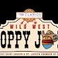 Wild West Sloppy Joe Fest