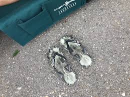 A few things to consider when buying portable bunk the organizers in the bunk bed cot will help to store personal items safely in the course of camping. Review Disc O Bed Cam O Bunk Large Spartanat