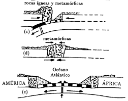 Ii Antecedentes Cientificos