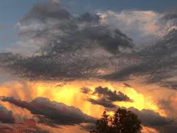 Nebeneinandergesetzt, deren wahl provokativ wirkte: Der Himmel War Gelb Wie Von Schwefel N Land