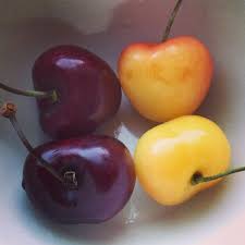 Check spelling or type a new query. Which Is Sweeter The Red Cherry Or The Yellow Cherry Fooducate