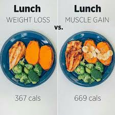 Dieting Meals Ideas Workout Food Healthy Recipes Healthy Lunch