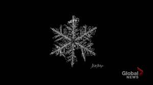 View matt grantham's' most recent video from their chases. Storm Chaser During Summer Calgary Photographer Now Captures Absolutely Mind Blowing Snowflake Photos Calgary Globalnews Ca