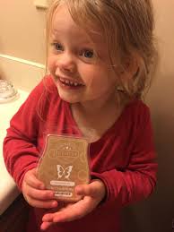 these are a total game changer for those who have pets and little ones !!!!  Dont want wax because your afraid of the mess? Dont worry i got you covered!