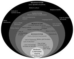 Barriers to Sexual and Reproductive Health and Rights of Migrant and  Refugee Youth: An Exploratory Socioecological Qualitative Analysis