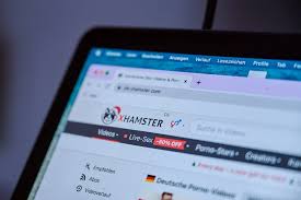 Pornoportal xhamster von Medienaufsicht gesperrt: Jugendschutz