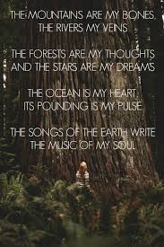 Nature Hike Wanderlust Science And Nature Nature Quotes Inspirational Quotes Words