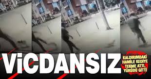 Denizlihaber Com Denizli Haberleri Yoldaki Kediye Tekme Atan Vicdansiz Kameraya Yakalandi Denizlihaber Com Denizli Haber Denizli Nin En Cok Okunan Gazetesi