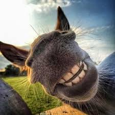 [Image: images?q=tbn:ANd9GcRcywVFy1iZtwxsR-_pAhV..._1-GSkpg&s]