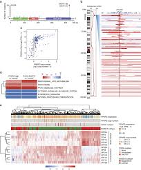 It's good to know early signs of bladder cancer in cats so you can be alert to any warnings and get them checked out as soon as you can. Evasion Of Immunosurveillance By Genomic Alterations Of Pparg Rxra In Bladder Cancer Nature Communications