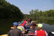 Voyageur Canoe: Oakwoods