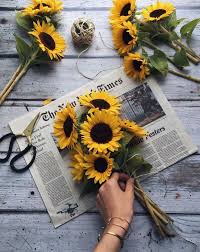 January 28 at 7:09 pm ·. Studiostories Sagt Sonnenblumen Machen Sich Gut Auf Fotos Sunflower Sunflower Wallpaper Love Flowers