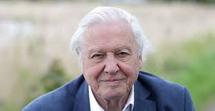 David Attenborough: 5 remarkable moments | Cineworld cinemas