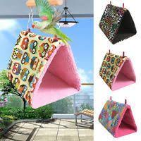 Parrot Cage Ideas Panosundaki Pin