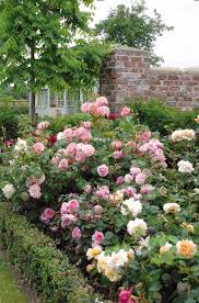 11 Ways To Create A Charming Country Cottage Style Garden Rose Garden Design Cottage Garden Country Garden Decor