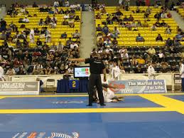 Georgettes Jiu Jitsu World: Lessons and report from the 2010 Mundials...