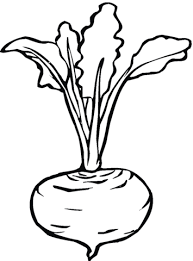 Beetroot 7 Coloring Page From Beets Category Select From 26736 Printable Crafts Of Cartoons Natu Fruit Coloring Pages Vegetable Coloring Pages Coloring Pages