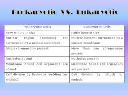 Prokaryotic Eukaryotic Cells The Cell Is The Basic Unit Of