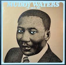 Muddy Waters