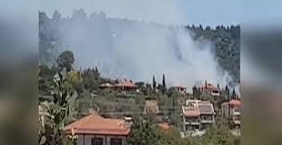 Jul 03, 2021 · newsit τοπικα νεα χαλκιδικη: Eidhseis Se Binteo Xalkidikh Fwtia Sth Nikhth Embolos