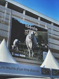 Salon régionla de l'agriculture de tarbes 2021 : L Alsace Fait Son Grand Retour Au Salon De L Agriculture De Paris