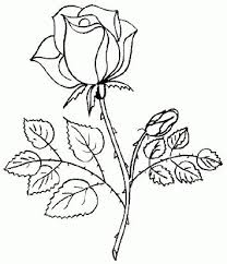Pin By Rosa Leiste On Patterns Roses Drawing Flower Drawing Coloring Games For Kids