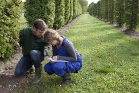 This site will focus on everything i've learned running a small lawn care business over the past 16. 5 Success Tips For Your Lawn Care Business