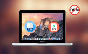 Wma converter serial numbers are presented here. Remove Wma Drm Protected Ways To Convert Drm Wma To Mp3