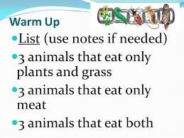 Warm Up List Use Notes If Needed 3 Animals That Eat Only Plants And Grass 3 Animals That Eat Only Meat 3 Animals That Eat Both Ppt Download