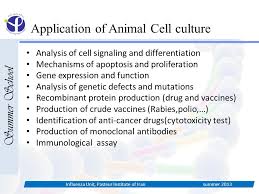 Check spelling or type a new query. In The Name Of God Summer School Influenza Unit Pasteur Institute Of Iran Summer Ppt Download