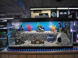 The princess and unicorn theme is very in, so décor for this type of theme is very easy to find. Cool Fish Tank Decorations Fish Tank Decorations Cool Fish Tanks