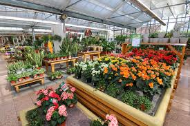 Abweichende öffnungszeiten & wichtige hinweise. Gartencenter In Karlsruhe Blumen Pflanzen Erde Co Meinka