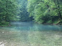 We did not find results for: The Misty Bridge Picture Of National Park Risnjak Crni Lug Tripadvisor