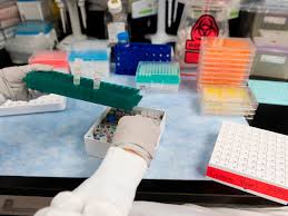 Get the latest novavax, inc. Novavax Stock Fell After Vaccine News Rivals Stocks Tell The Real Story Barron S