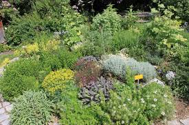 Liebevoll hergerichtet und ebenso liebevoll gepflegt, dass man nur. Garten Laden Zum Entdecken Ein Tag Der Offenen Gartentur Am 30 Juni Landkreis Lindau