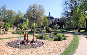 Correct me if i'm wrong. Botanischer Garten Der Westfalischen Wilhelmsuniversitat Foto Bild Natur Munster Menschen Bilder Auf Fotocommunity