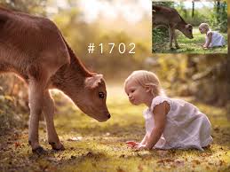 Editingvideos Animals Funny Animals Animals For Kids