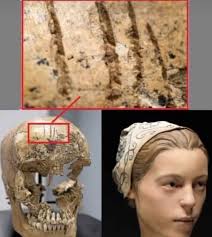 This skull was found in 2012 in Jamestown, the first English settlement in  the US. Archaeologists believe that she is a 14-year-old girl and her body  served as food for a group