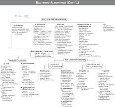 Usmle Step 1 Qbank Medical School Studying Medical Laboratory Science Medical Laboratory Technician