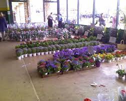 Maybe you would like to learn more about one of these? Produce Junction Has Rockin Flowers Kim Salmons Flickr