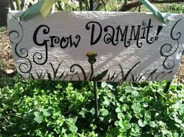 Funny Garden Signs Garden Decor Yard Signs Grow Dammit Sign Garden Signs Funny Garden Signs Beautiful Gardens