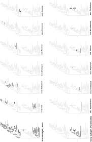 Image result for Ixora brachypoda