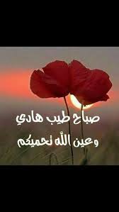 pin by sarah amj on en arabe bonjour bonne soiree christian good morning quotes morning images good morning quotes