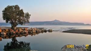 Δείτε πληροφορίες για την καταχώρηση κυανη ακτη (αυλωνίτης ιάσονας δ.) που βρίσκεται στην περιοχή πόρτο ράφτη και ανήκει στην κατηγορία ξενοδοχεία. Kiani Akti Beach