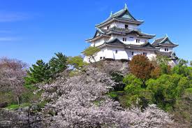 Wakayama Castle｜Attractions｜Visit Wakayama - The Official Tourism Website  of Wakayama Prefecture