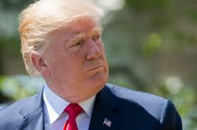 Longtime Trump stalker 'objects' as his case is sent to veterans court