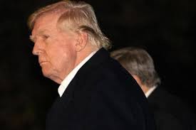 Haunted Trail raises funds for Pardeesville trail, court