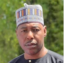Governor Zulum Extends Condolences to Jigawa Governor Over Family Loss