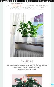 Pin By Nor Alhoda On Life Hacks Peace Lily Life Hacks Lily